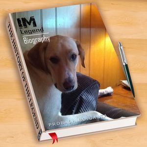 Meet your Posher, Dorothy